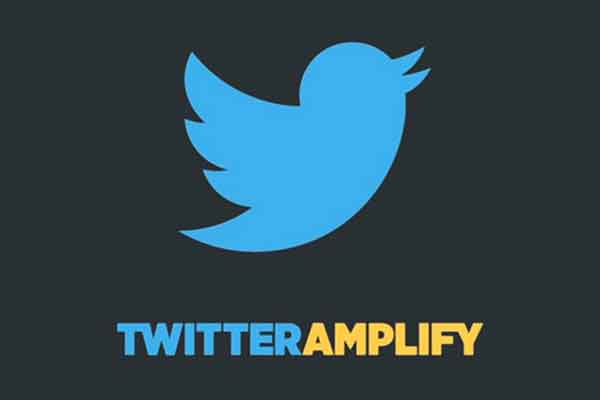 twitter amplify